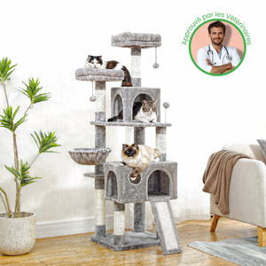 Arbre à Chat Gris 160 cm - Griffoir & Plateformes